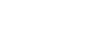 DAS 5. ELEMENT